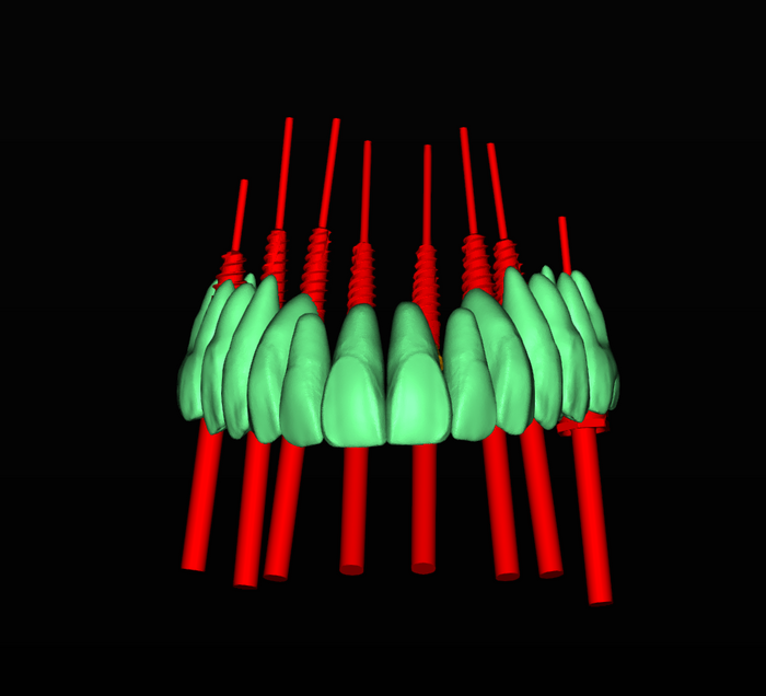 Green and red objects arranged in a pattern on a black background