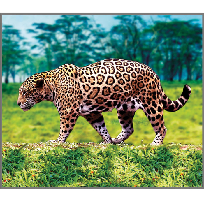 Animal Projector