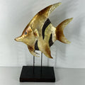 Animal/Bird/Fish/Critter