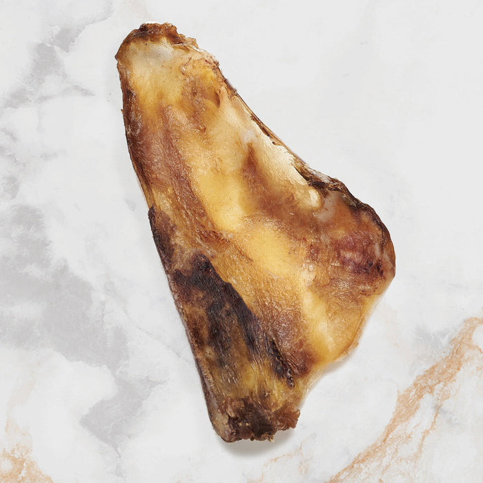 Dehydrated Bison Scapula Slice - Nutrition - Beast Feast - Maximum K9 Services