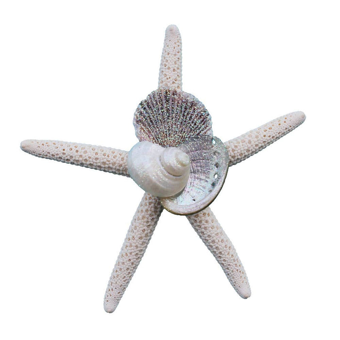 California Seashell Company - White Finger Starfish Collage Magnet