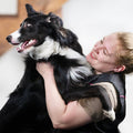 Free K9 Nutrition Consultation--Maximum K9 Services-Maximum K9 Services