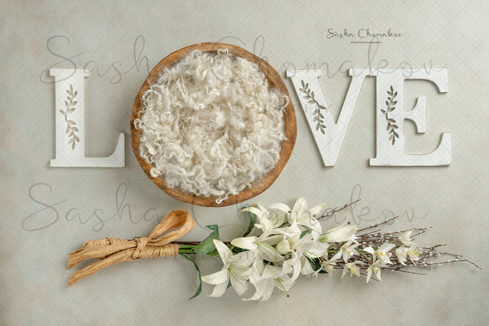 Digital Backdrop