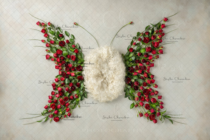 Digital Backdrop