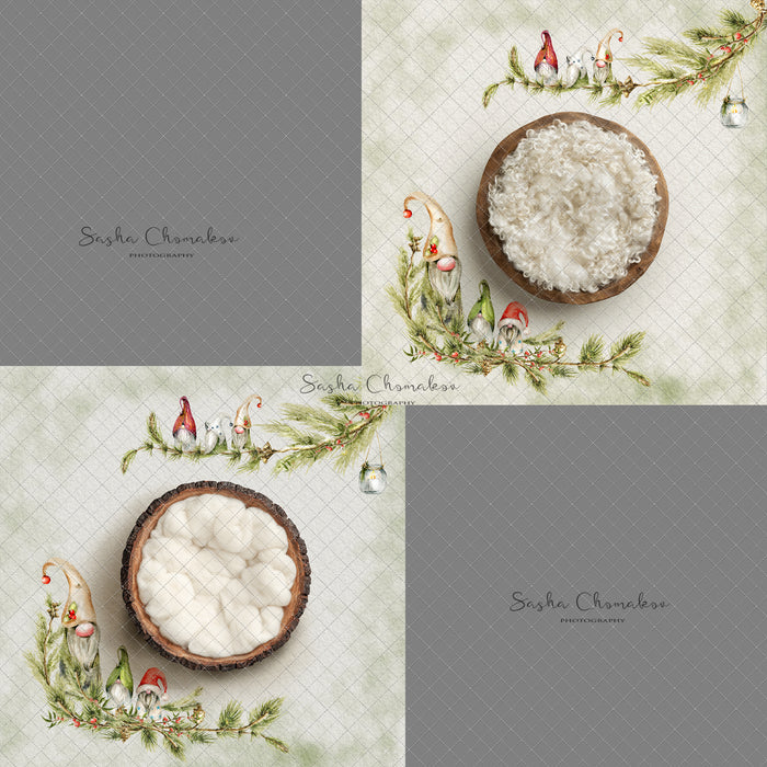 Digital Backdrop