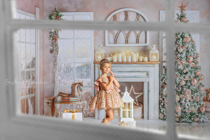 Digital  window overlays