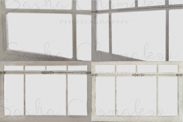 Digital  window overlays