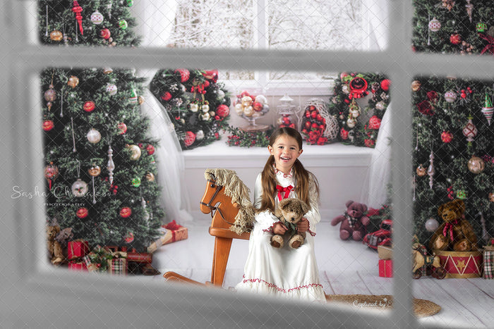 Digital  window overlays