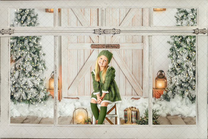 Digital  window overlays