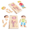 Discover Your Body Puzzles
