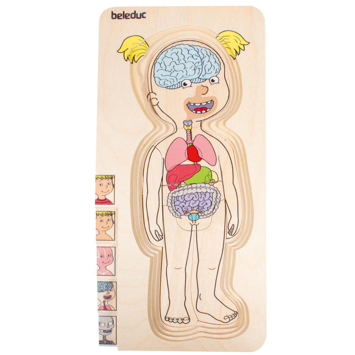 Discover Your Body Puzzles