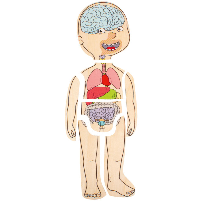 Discover Your Body Puzzles