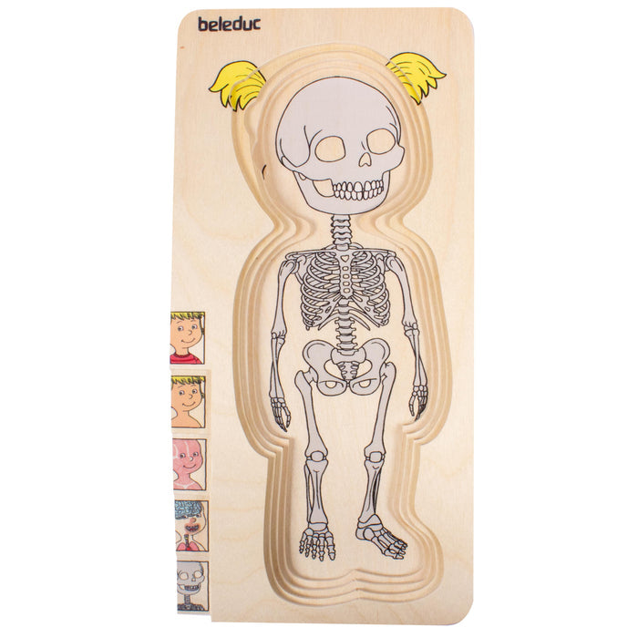 Discover Your Body Puzzles