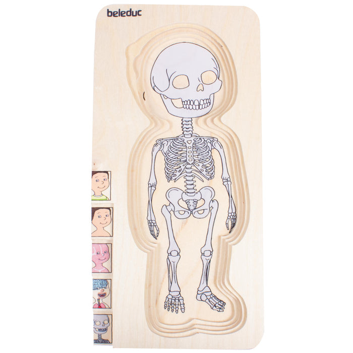 Discover Your Body Puzzles