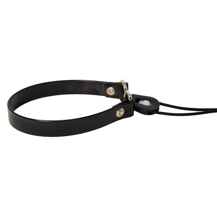 E-Bungee Collar--E-Collar Technologies-Maximum K9 Services