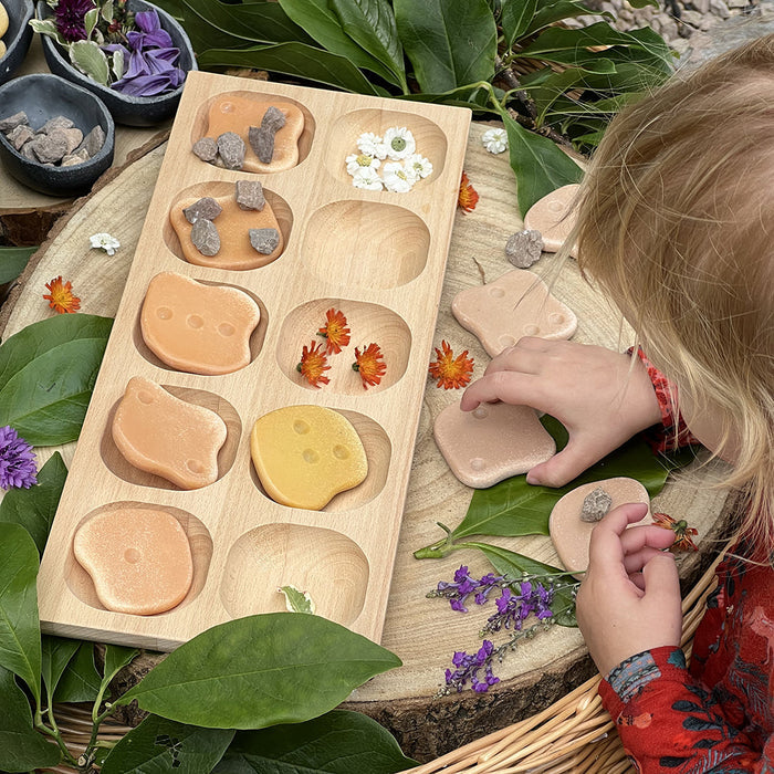 Child Using Wooden 10-Frame Math Tray for Sorting Nature