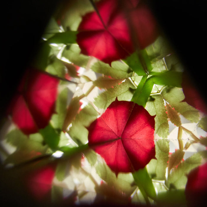 Looking Through Wooden Kaleidoscope