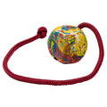 Gappay Dice 2.5"--Hst-Maximum K9 Services