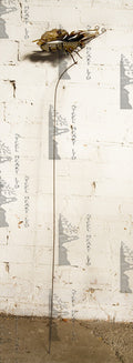 GS0112B-C