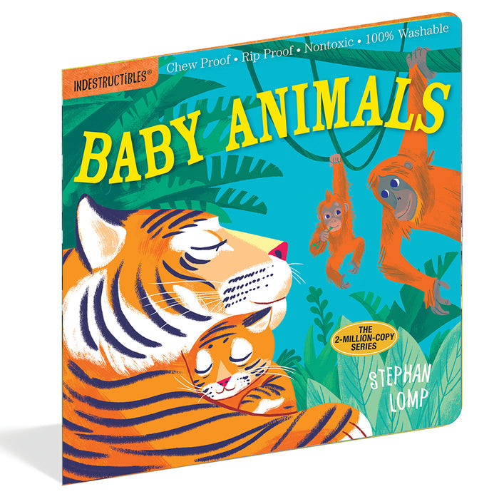 Baby Animals Book Cver