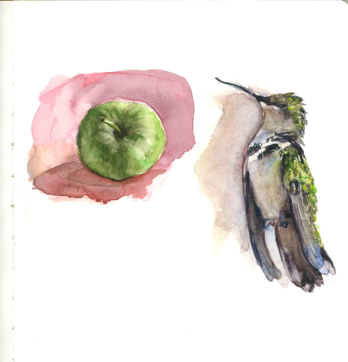 Introduction to Drawing and Painting