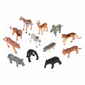 Jungle Animals