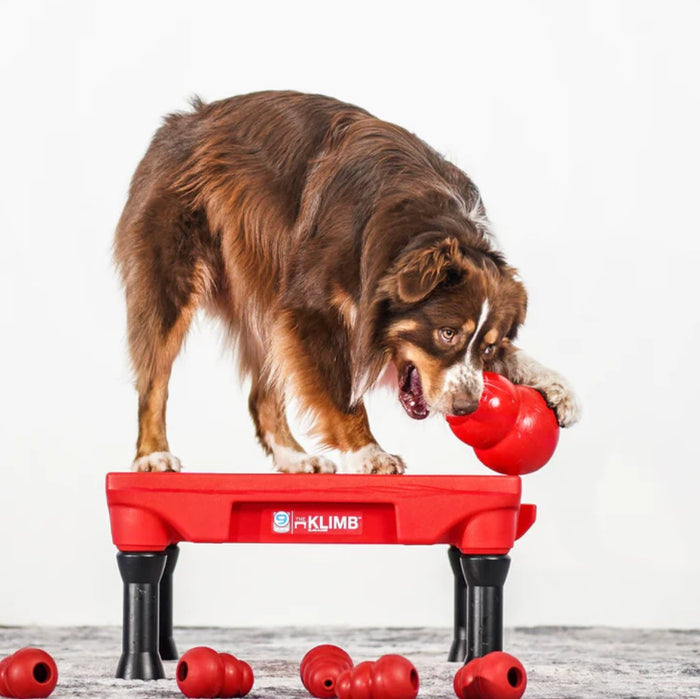 Klimb Platform - Training Supplies - Blue - 9 - Maximum K9 Services