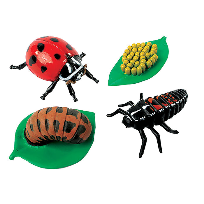 Ladybug Life Cycle Figurines | 4-Piece Educational Set