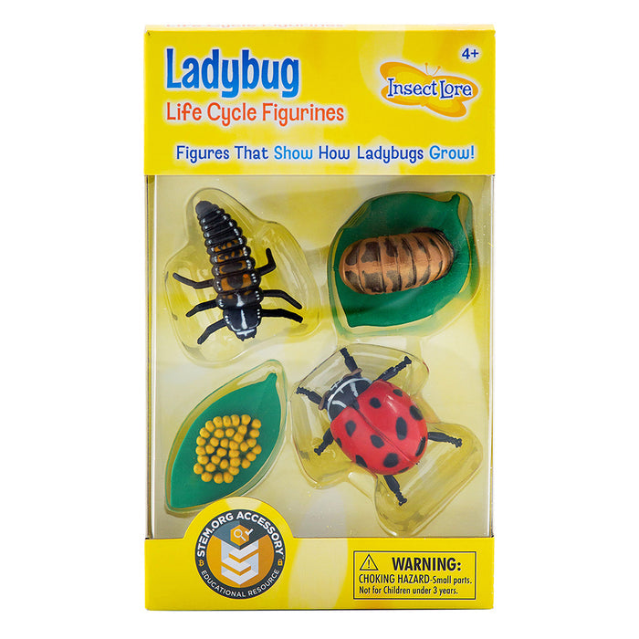 Ladybug Life Cycle Figurines | 4-Piece Educational Set in Original Packaging