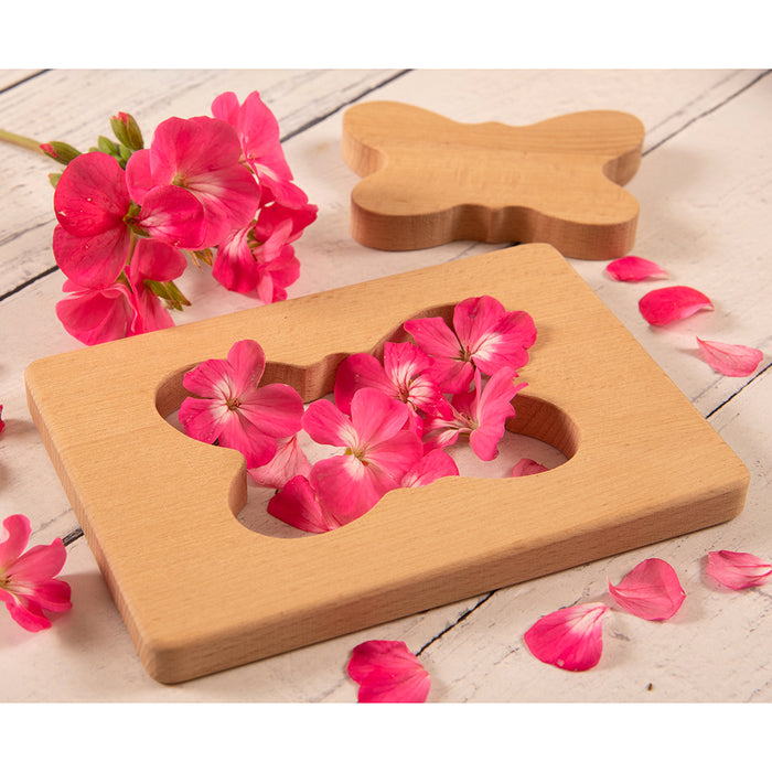Butterfly Discovery Shape with Flowers