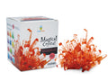 Magical Crystal - Ruby Red