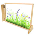 Nature View 24x36 Toddler Divider Panel | Safe Acrylic Back & Rounded Edges