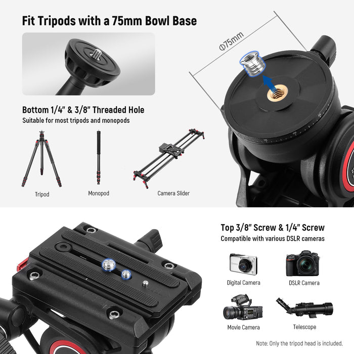 NEEWER GM002 Heavy Duty Video Tripod Fluid Head features the 1/4" and 3/8" top mounting screws