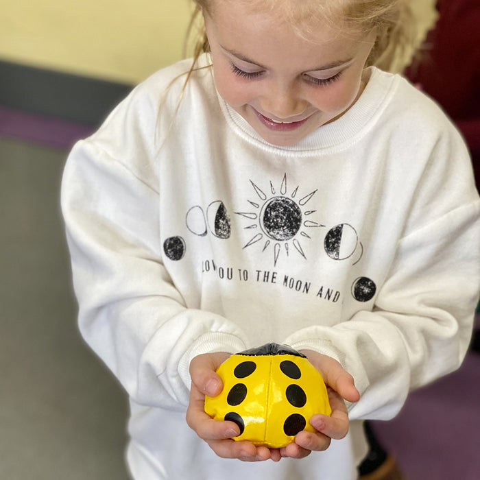 Numbered Ladybug Beanbags – Set of 6