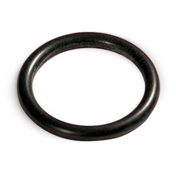 Black rubber O-ring on a white background