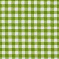 Oilcloth - Green Gingham Yardage