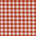 Oilcloth - Red Gingham Yardage