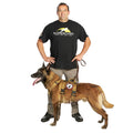 Professional Dog Training Evaluation