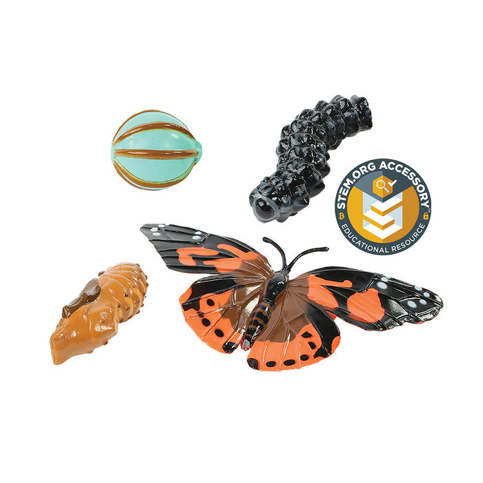 Painted Lady Butterfly Life Cycle Figurines | 4-Piece Educational Set