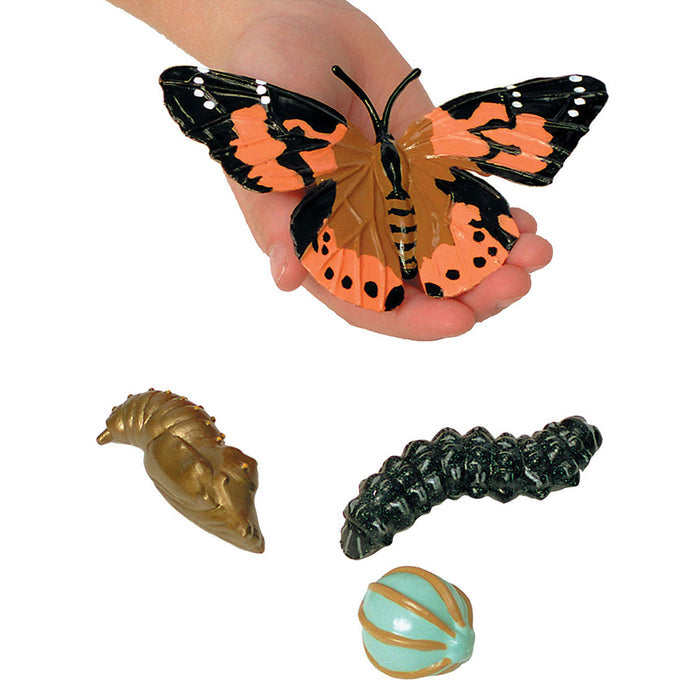 Hand Holding Painted Lady Butterfly Life Cycle Figurines | 4-Piece Educational Set