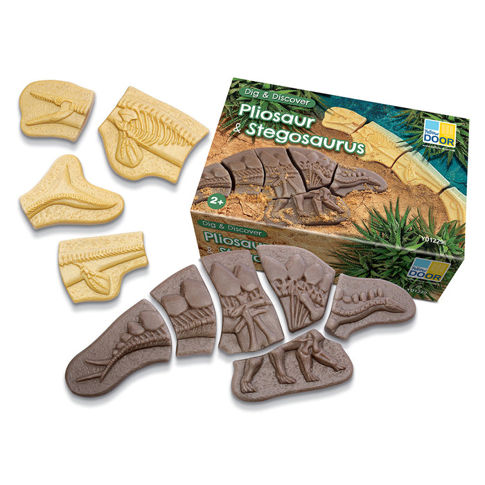 Pliosaur & Stegosaurus Fossils