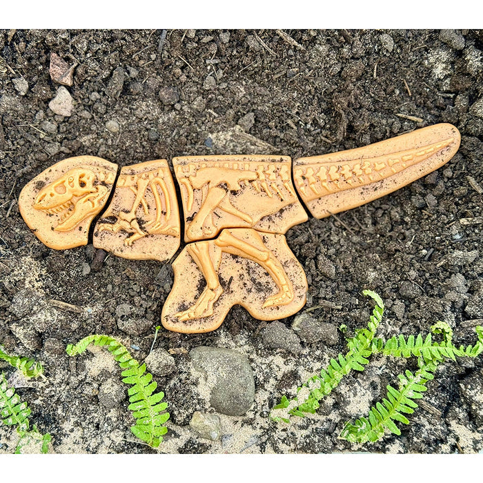 T-Rex Fossil Puzzle in Dirt