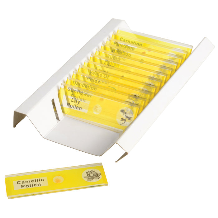 Prepared Slide Kit - Plants