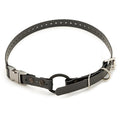 Quick Release Buckle E-collar Strap--E-Collar Technologies-Maximum K9 Services