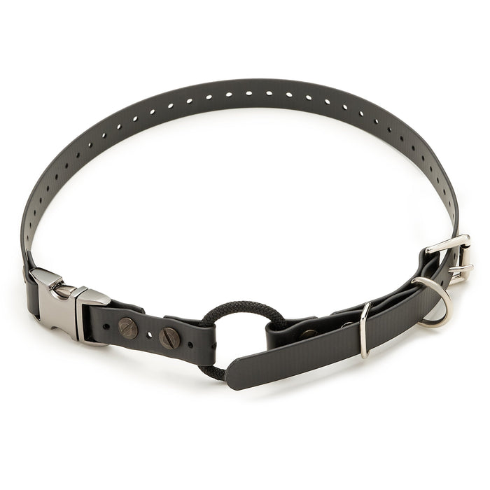 Quick Release Buckle E-collar Strap--E-Collar Technologies-Maximum K9 Services