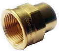 Brass plumbing fitting with female thread on a white background