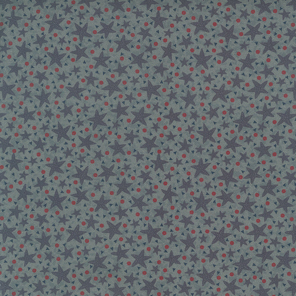 Ship to Shore 706904-70 Starfish - light blue cotton fabric with blue starfish, tiny blue hearts and red dots