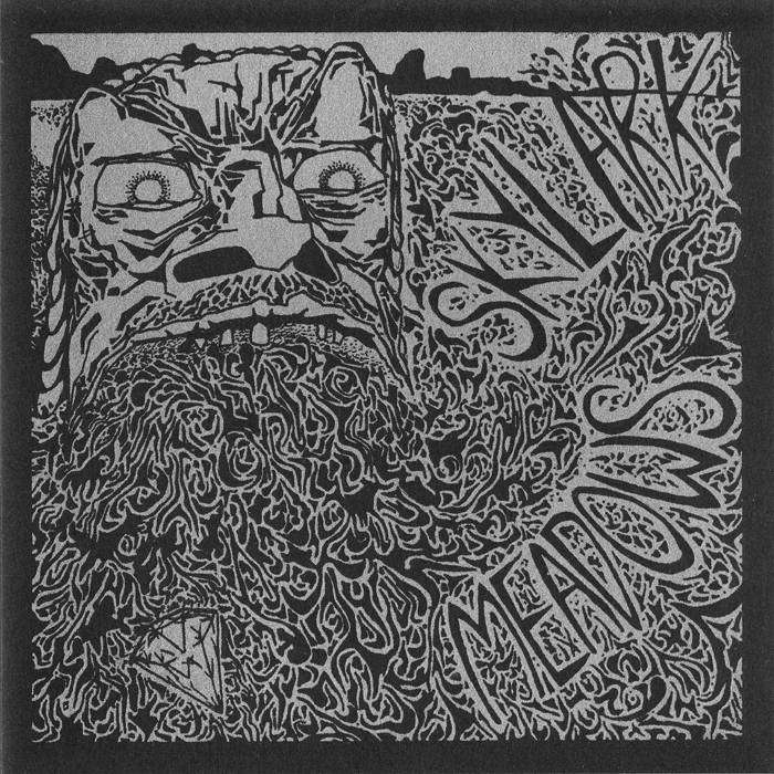 Skylark / Meadows split 7" record