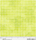 Sorbet  4985 A