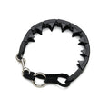 Starmark Pro - Training Dog Collar - dog toys - Wholesale Dog Gear - Maximum K9 Services